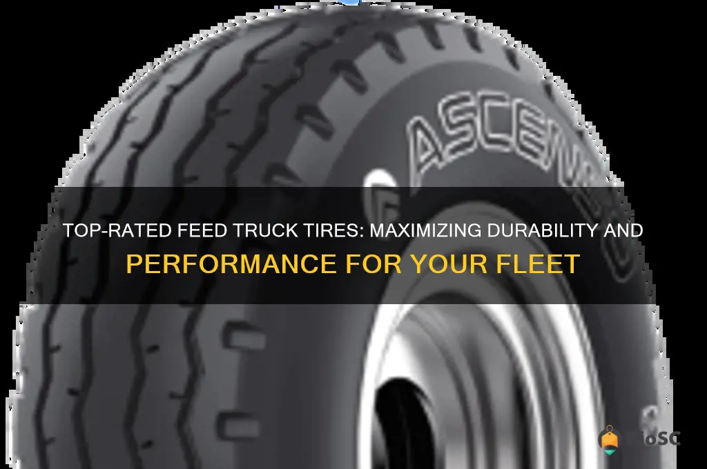 best feed truck tires
