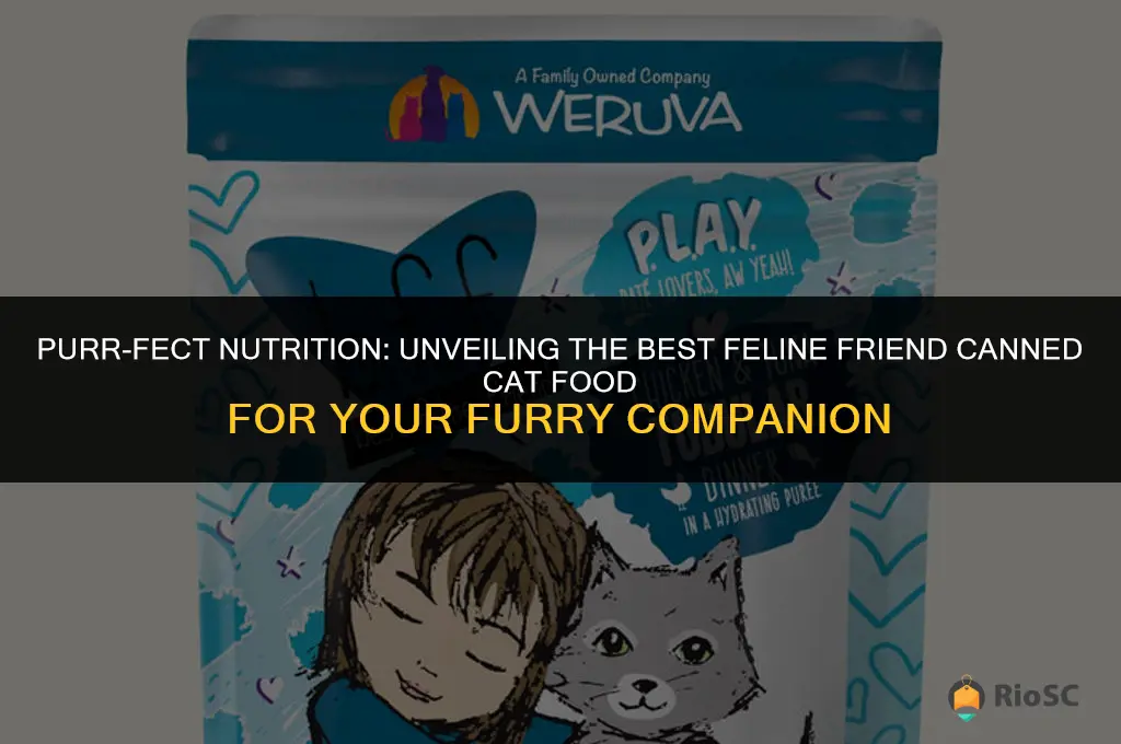 best feline friend canned cat food