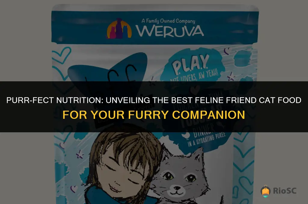 best feline friend cat food
