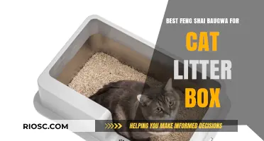 Harmonize Your Home: The Best Feng Shui Bagua Placement for Your Cat’s Litter Box