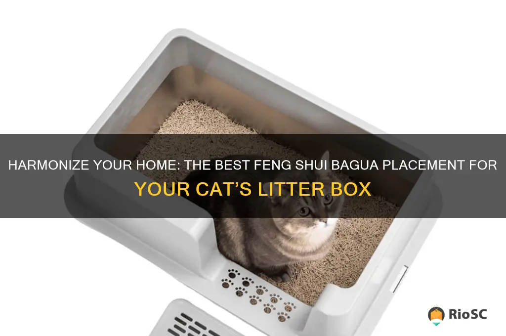 best feng shai baugwa for cat litter box