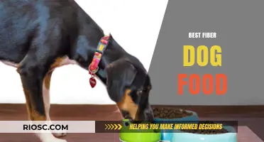 Top-Rated Fiber-Rich Dog Foods for Optimal Digestive Health