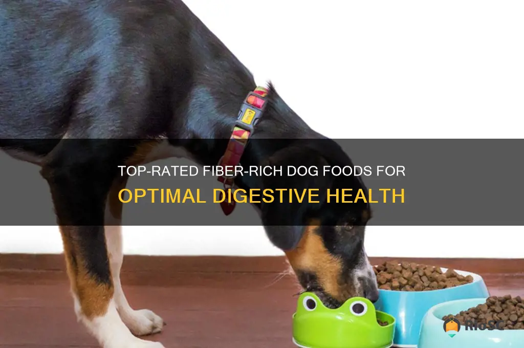 best fiber dog food