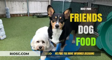Why Best Fido Friends Dog Food is a Top Choice for Your Canine Companion