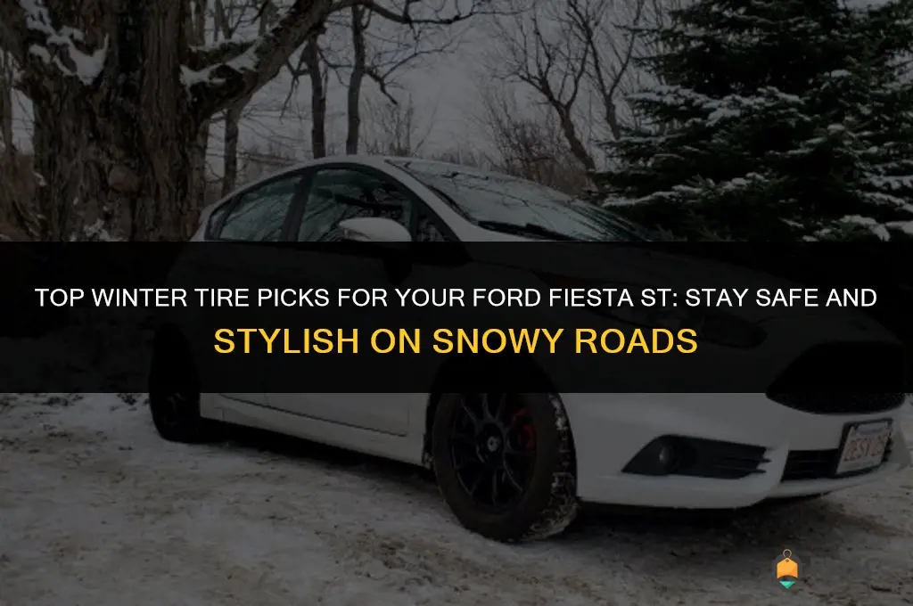 best fiesta st winter tires