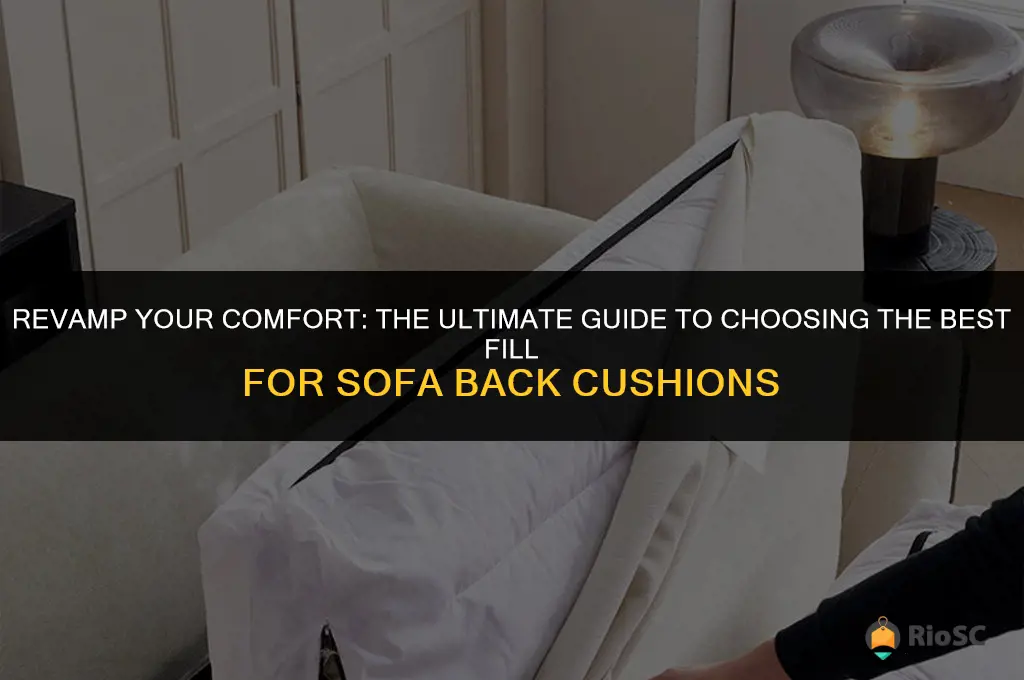 best fill for sofa back cushions