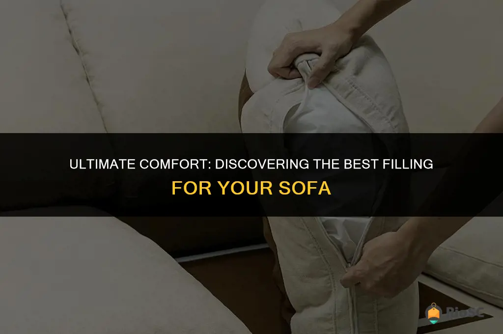 best filling for sofa