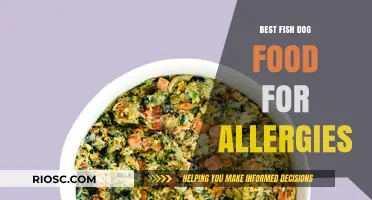 Hypoallergenic Fish-Based Dog Food: Top Picks for Allergy-Prone Pets
