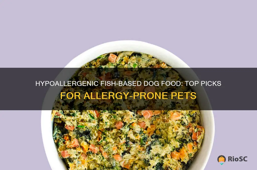 best fish dog food for allergies