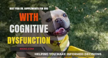 Top Fish Oil Supplements to Support Cognitive Health in Dogs with Dysfunction