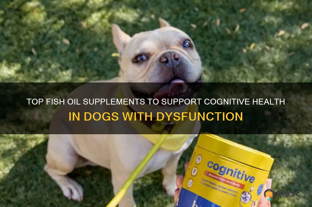 best fish oil supplements for dog with cognitive dysfunction
