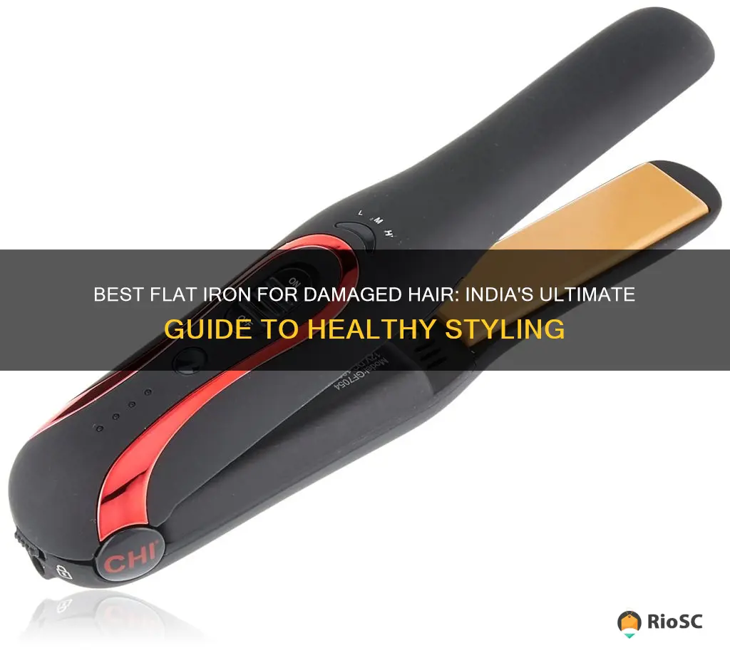 best flat iron for damaged hair in india