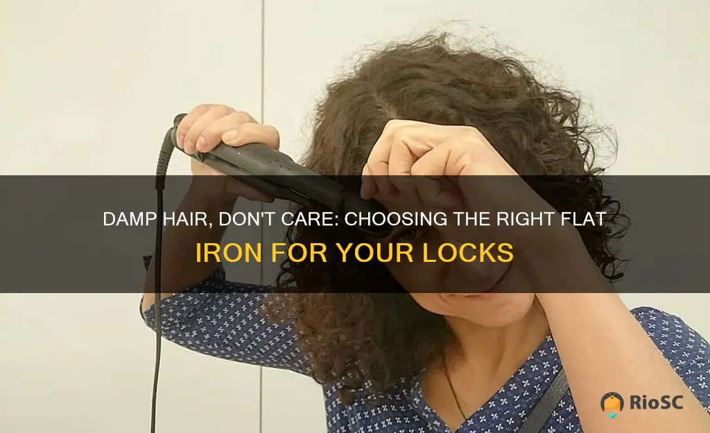 best flat iron for damp hair