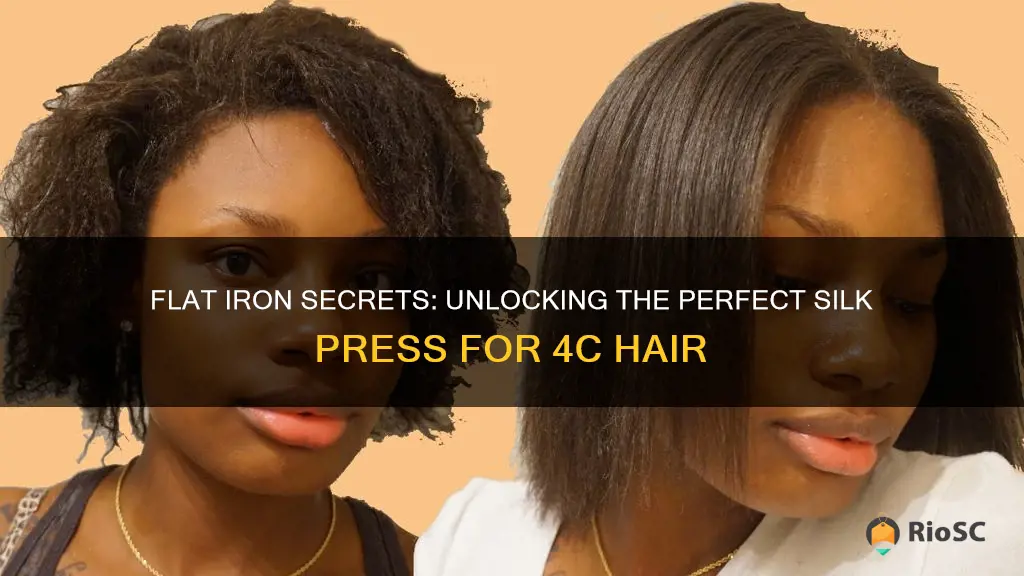 best flat iron for silk press 4c hair