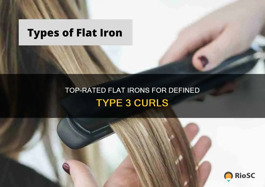 best flat iron for type 3 hair