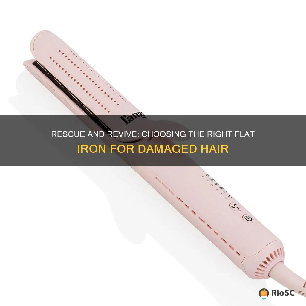 best flat irons for damaged hair