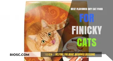 Purr-fectly Palatable: Top Dry Cat Food Flavors for Fussy Felines