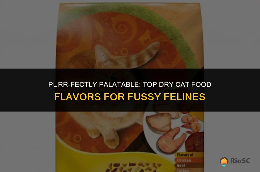 best flavored dry cat food for finicky cats