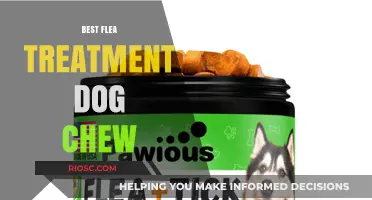 Effective Flea Control Made Easy: Top Dog Chew Treatments for Flea Prevention
