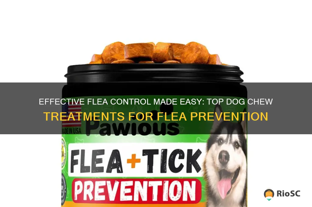 best flea treatment dog chew