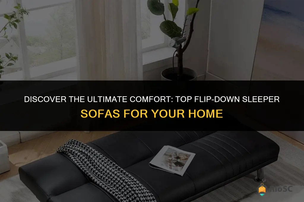 best flip down sleeper sofa