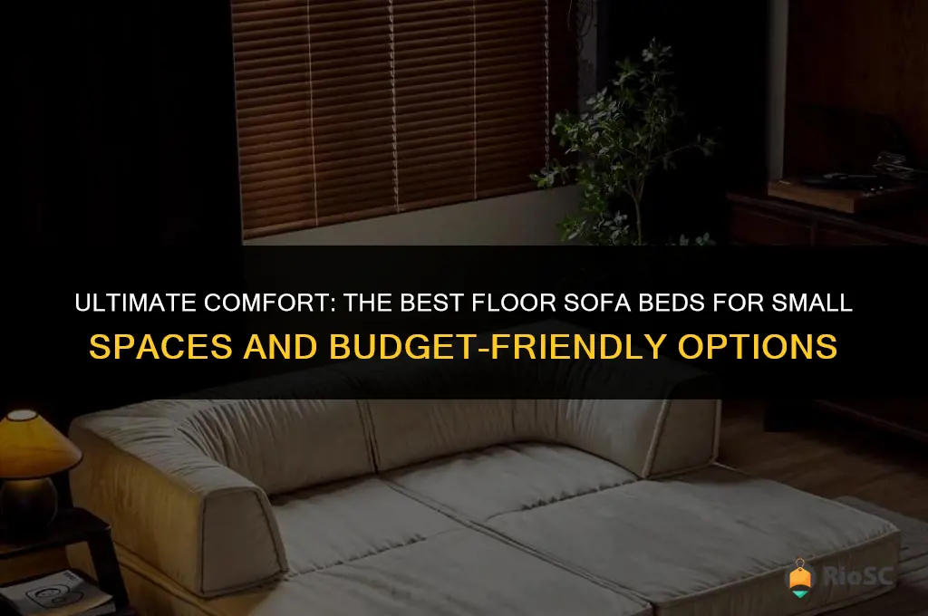 best floor sofa bed