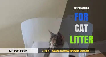 Purr-fect Flooring Solutions: Top Picks for Cat Litter Areas