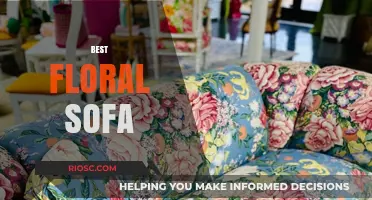 Blossom in Style: Discover the Best Floral Sofa for Your Living Space