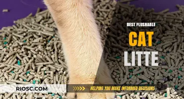 Top Flushable Cat Litter Options for a Cleaner, Eco-Friendly Home