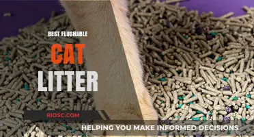 Top Eco-Friendly Flushable Cat Litter Options for a Cleaner, Greener Home