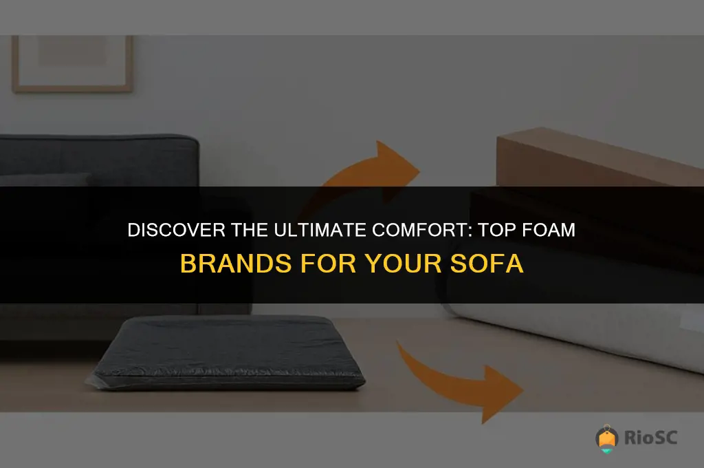 best foam brand for sofa