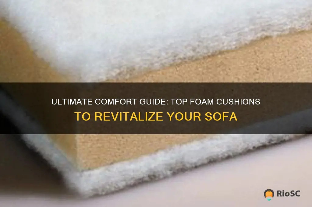 best foam cushion for sofa