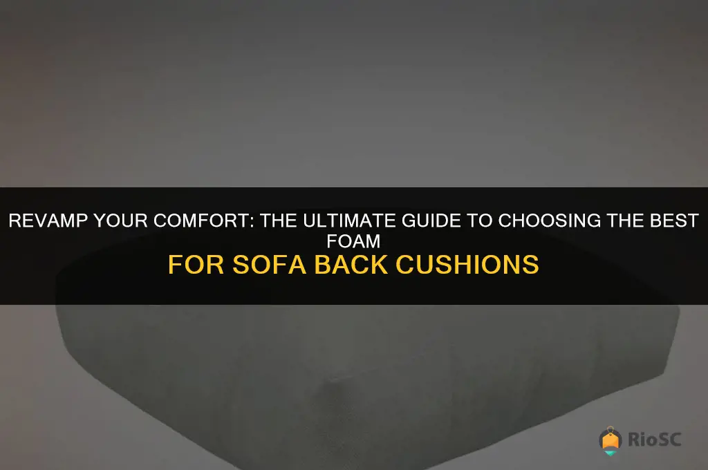 best foam for sofa back cushions
