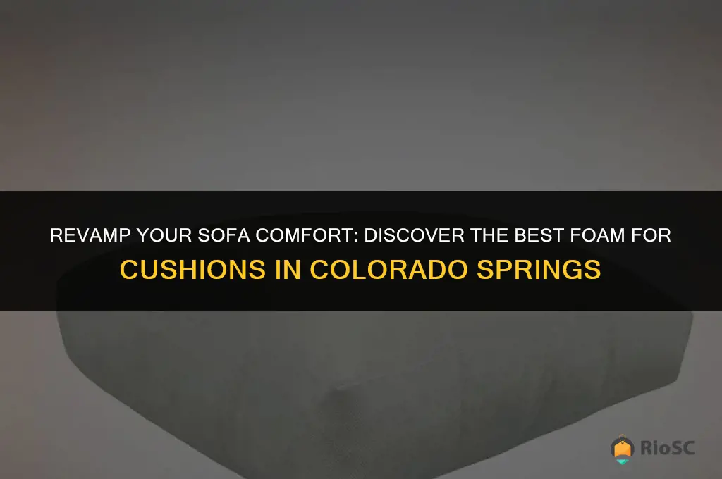 best foam for sofa cushions colorado springs