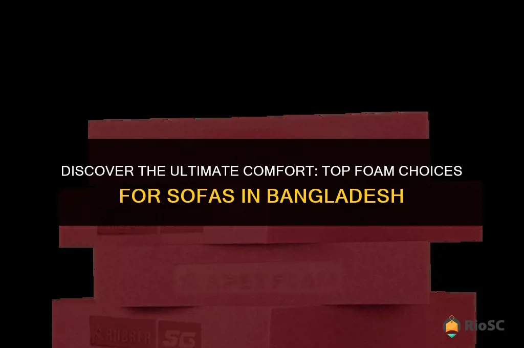 best foam for sofa in bangladesh