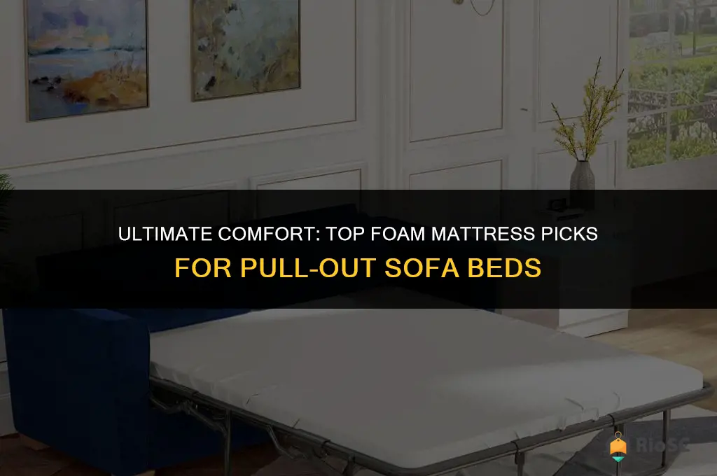 best foam matterss for pull out sofa beds