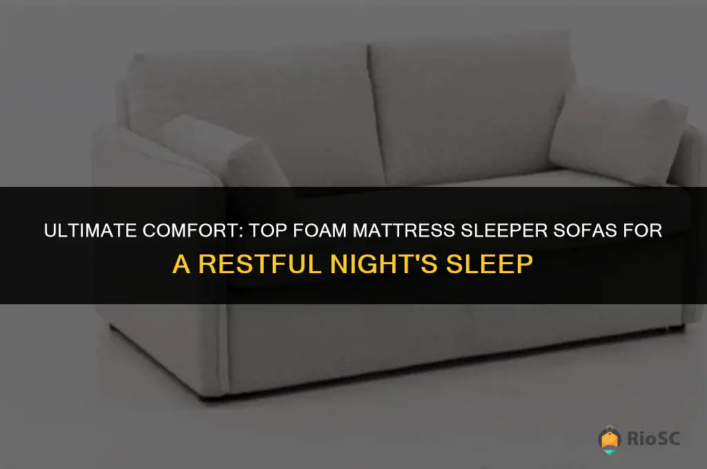 best foam mattress sleeper sofa