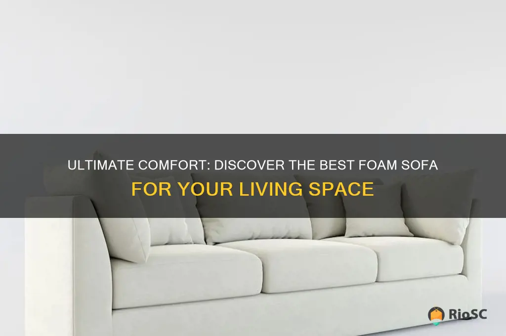 best foam sofa