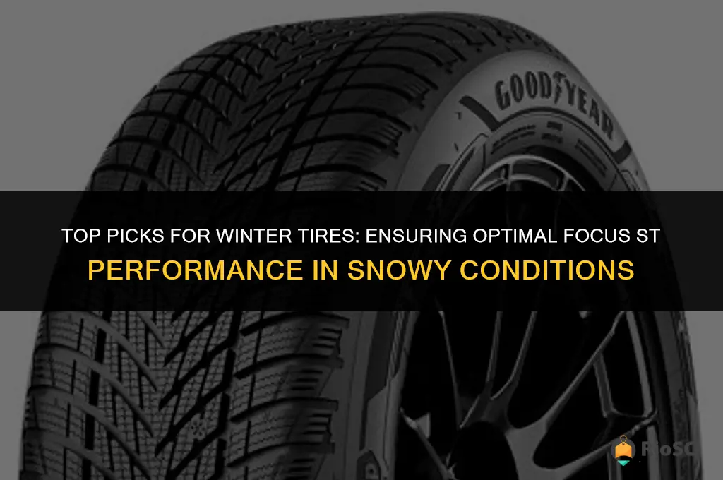 best focus st winter tires