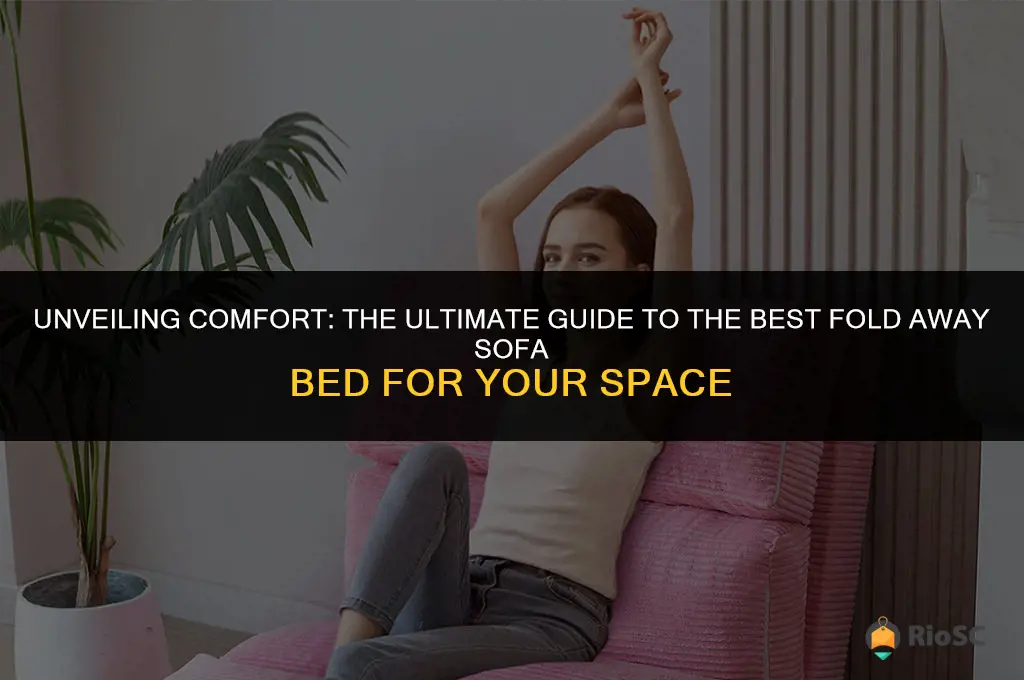 best fold away sofa bed