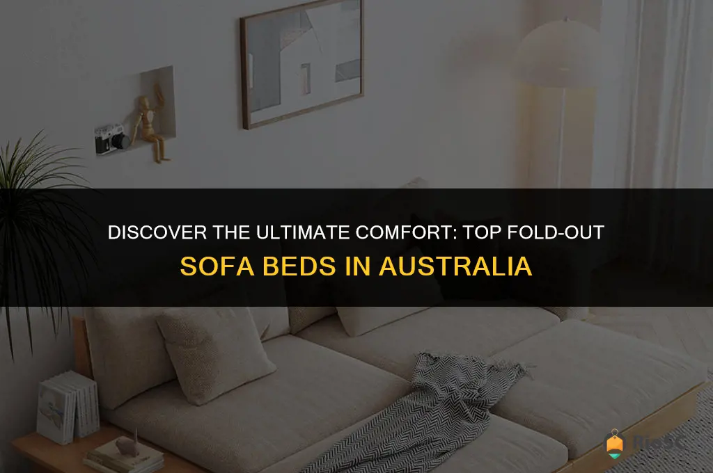 best fold out sofa bed australia