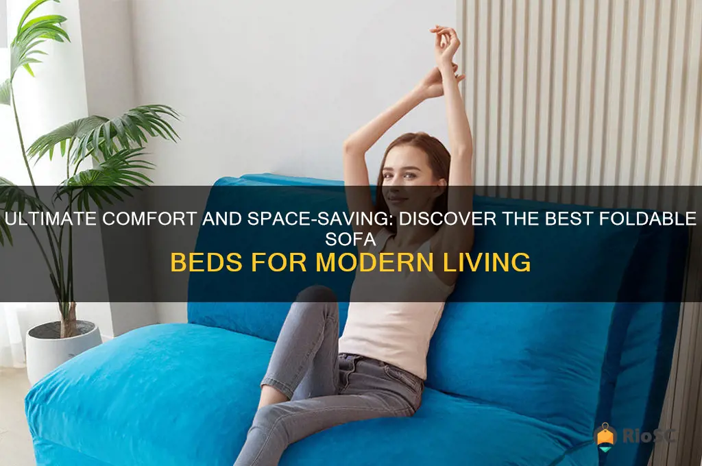 best foldable sofa bed
