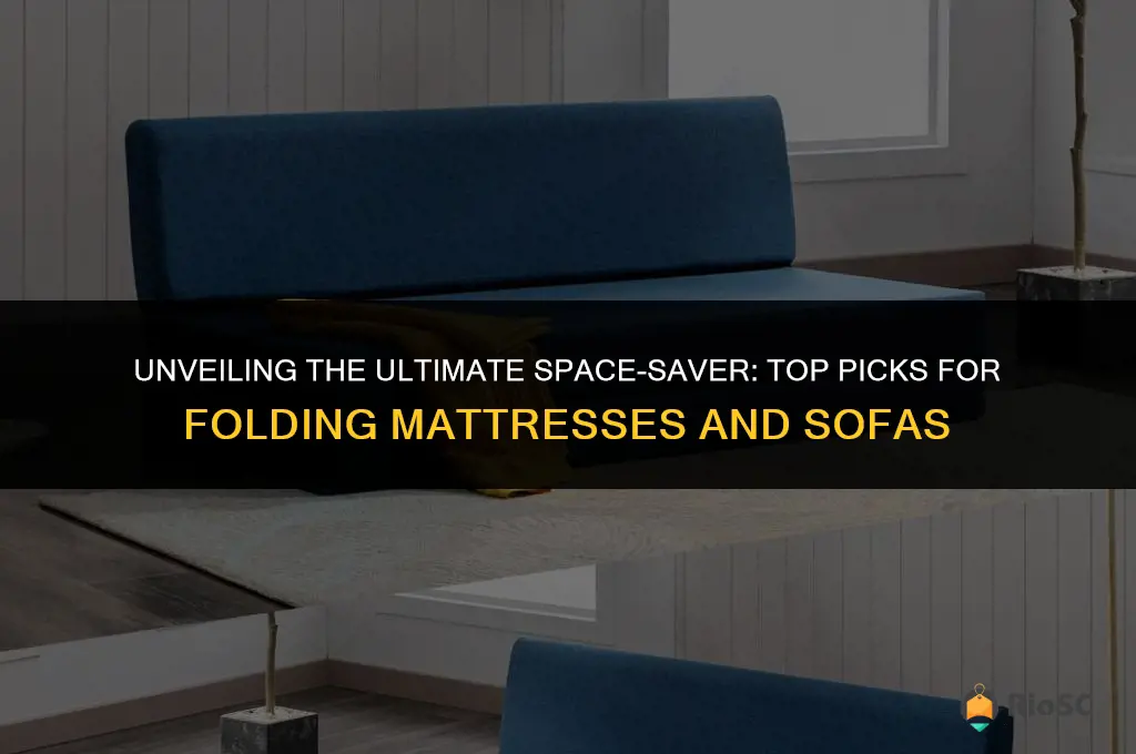 best folding mattress and sofa