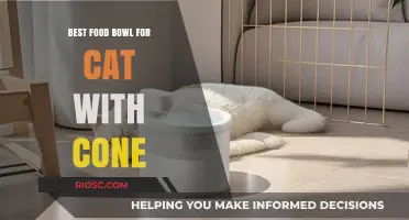 Top Picks for Feline Friends: Best Food Bowls for Cats with Cones