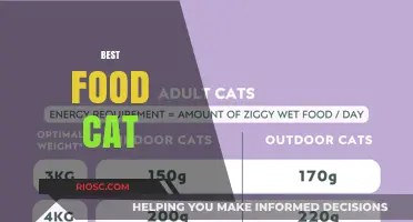 Whiskers' Top Picks: The Ultimate Guide to the Best Food for Your Feline Friend