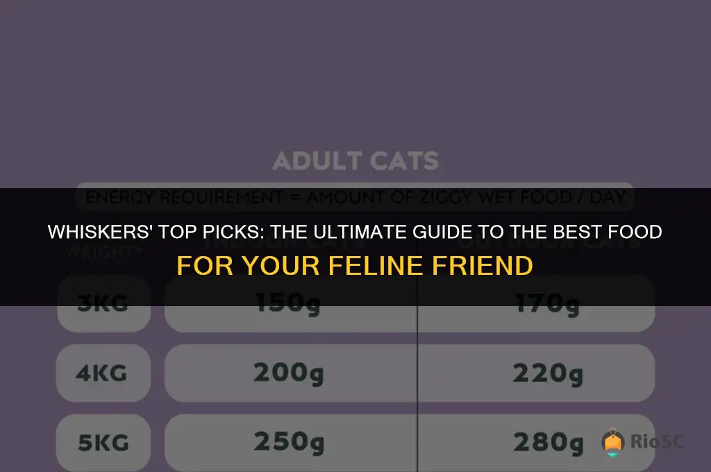 best food cat