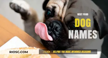 Delicious Dog Names: Top Food-Inspired Ideas for Your Furry Friend