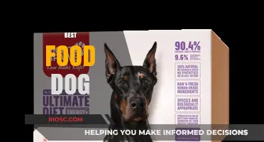 Discovering the Ultimate Food Dog: A Culinary Journey Through Canine Cuisine