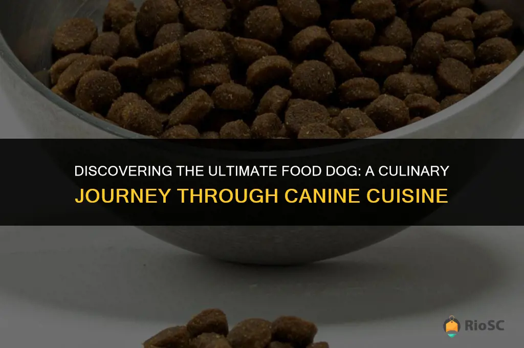 best food dog