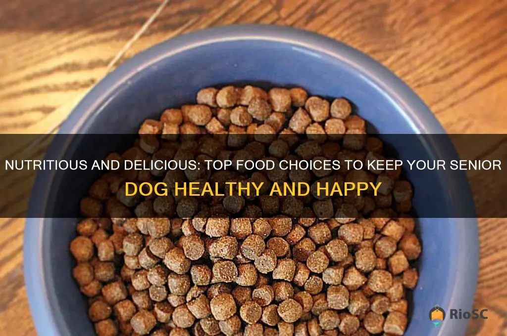 best food for a senior dog